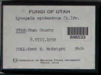 Image Associated With the Occurence